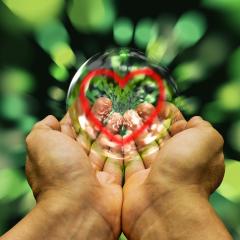 The Dr Pat Show, Dr Pat Show, Dr Pat, Pat Baccili, Transformation Talk Radio, Rachel Chase, The Creative Empowerment Show,
