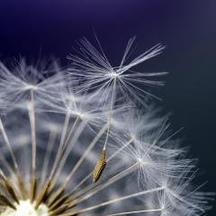 rachel's art of letting go - three aspects of nurturing resilience